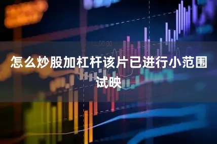 怎么炒股加杠杆该片已进行小范围试映